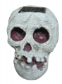 Solar death's head