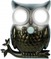 Motion Sensor Hooting Owl Light