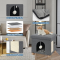 Cat House