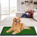 Pet Potty