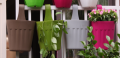 Flower Pot