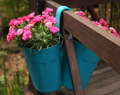 Flower Pot