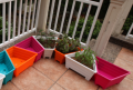 Flower Pot