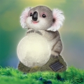 SOLAR KOALA