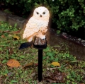 Owl Solar Light