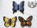 Set of 3 Glow In The Dark Butterfly Wall Hanger