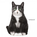 Sensor Cat